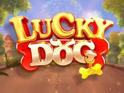 Lucky Dog