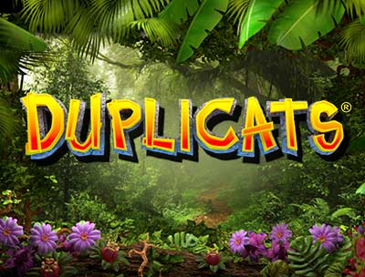 Duplicats