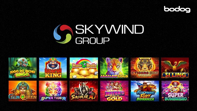 conheca-grupo-skywind